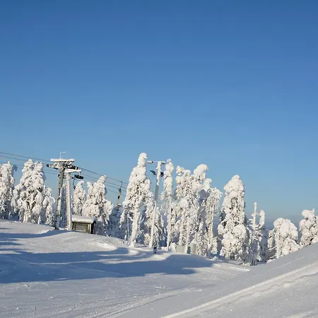Suomu *
