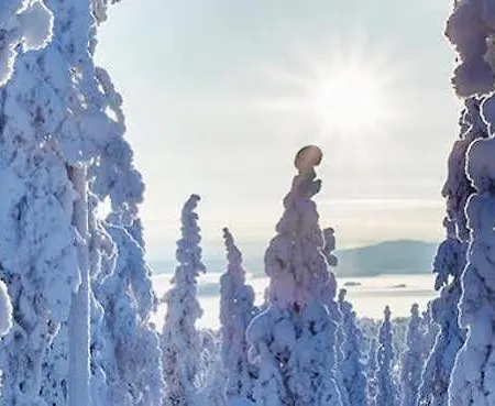 Suomu Chalet