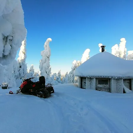 Suomu