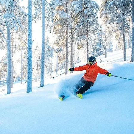 Chalet Suomu