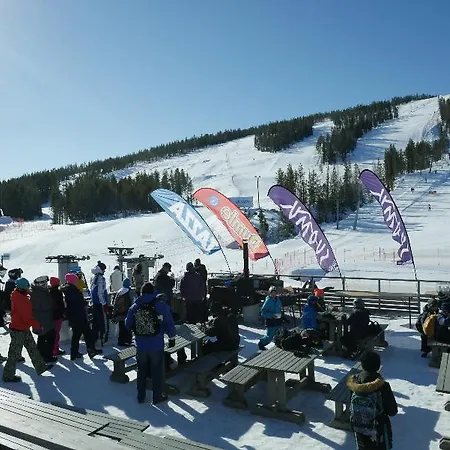 Chalet Suomu